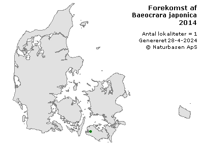Baeocrara japonica - udbredelseskort