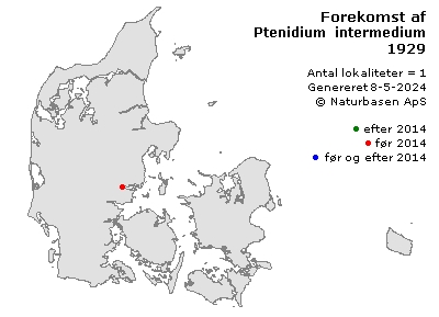 Ptenidium intermedium - udbredelseskort