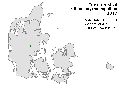 Ptilium myrmecophilum - udbredelseskort