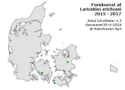 Laricobius erichsoni - udbredelseskort