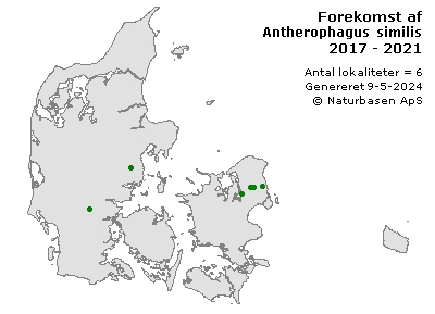 Antherophagus similis - udbredelseskort