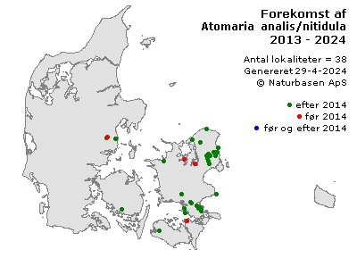 Atomaria analis/nitidula - udbredelseskort