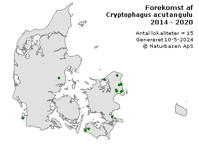 Cryptophagus acutangulus - udbredelseskort