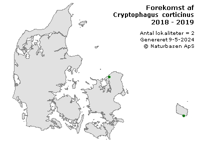 Cryptophagus corticinus - udbredelseskort
