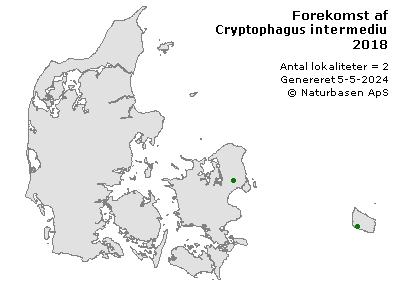 Cryptophagus intermedius - udbredelseskort