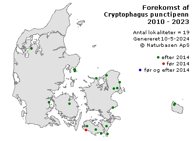 Cryptophagus punctipennis - udbredelseskort