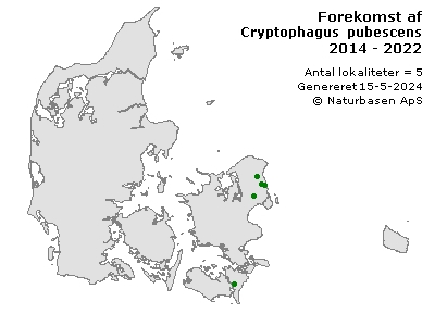 Cryptophagus pubescens - udbredelseskort