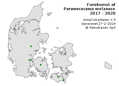 Paramecosoma melanocephalum - udbredelseskort