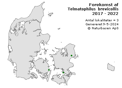 Telmatophilus brevicollis - udbredelseskort