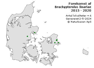Brachypterolus linariae - udbredelseskort