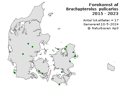Brachypterolus pulicarius - udbredelseskort