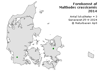 Malthodes crassicornis - udbredelseskort