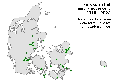 Epitrix pubescens - udbredelseskort