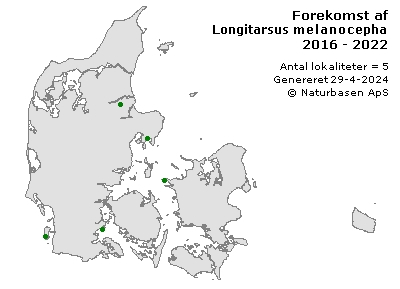 Longitarsus melanocephalus - udbredelseskort