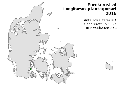 Longitarsus plantagomaritimus - udbredelseskort