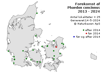 Phaedon concinnus - udbredelseskort