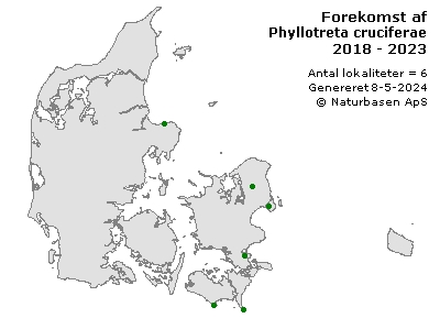 Phyllotreta cruciferae - udbredelseskort