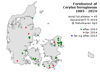 Cerylon ferrugineum - udbredelseskort