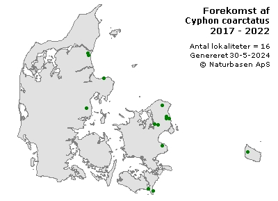 Cyphon coarctatus - udbredelseskort