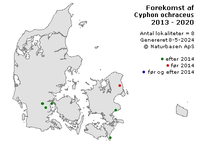 Cyphon ochraceus - udbredelseskort