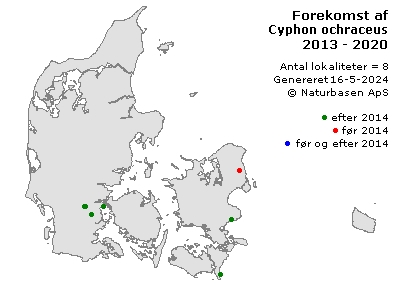 Cyphon ochraceus - udbredelseskort