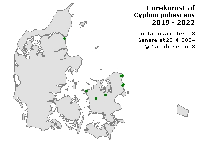 Cyphon pubescens - udbredelseskort