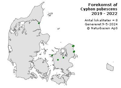 Cyphon pubescens - udbredelseskort