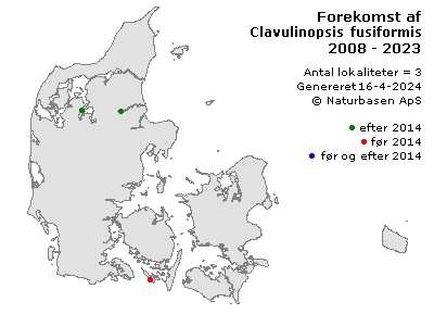 Clavulinopsis fusiformis - udbredelseskort