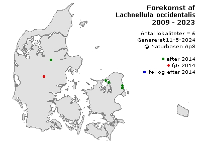Lachnellula occidentalis - udbredelseskort