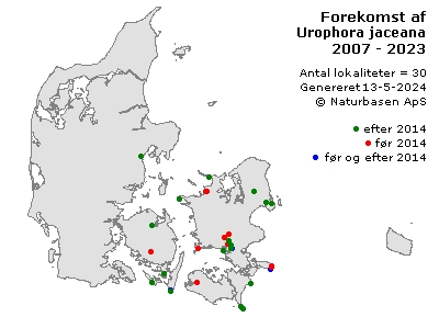 Urophora jaceana - udbredelseskort