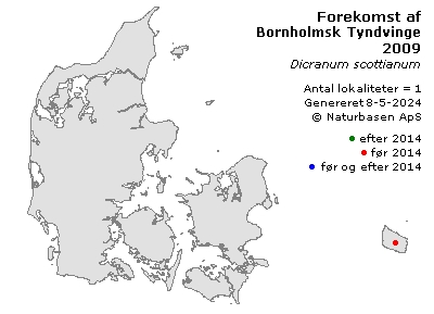 Bornholmsk Tyndvinge - udbredelseskort