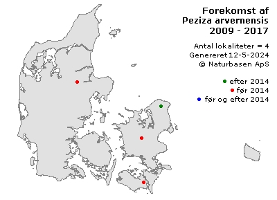 Peziza arvernensis - udbredelseskort