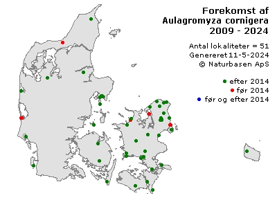 Aulagromyza cornigera - udbredelseskort