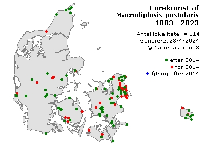 Macrodiplosis pustularis - udbredelseskort