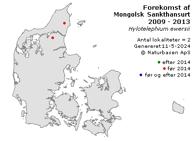 Mongolsk Sankthansurt - udbredelseskort