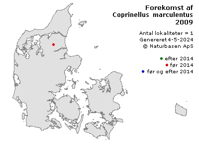 Coprinellus marculentus - udbredelseskort