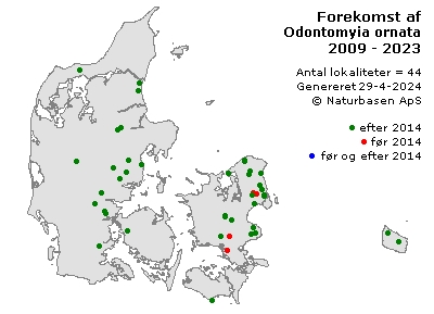 Odontomyia ornata - udbredelseskort