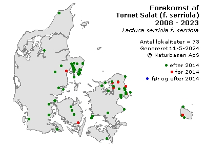 Tornet Salat (f. serriola) - udbredelseskort