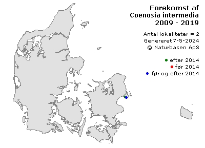 Coenosia intermedia - udbredelseskort