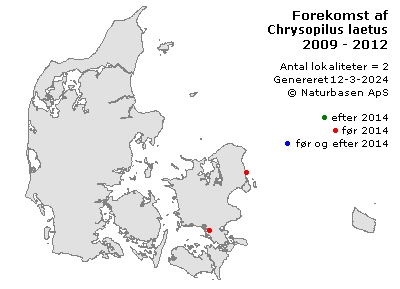 Chrysopilus laetus - udbredelseskort