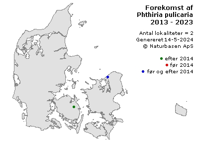 Phthiria pulicaria - udbredelseskort