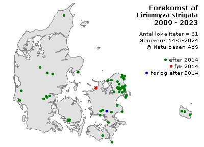 Liriomyza strigata - udbredelseskort