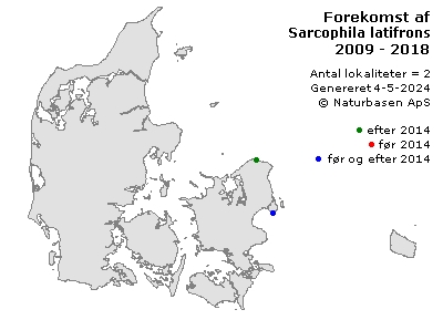 Sarcophila latifrons - udbredelseskort