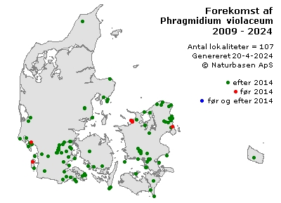 Phragmidium violaceum - udbredelseskort
