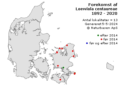 Loewiola centaureae - udbredelseskort