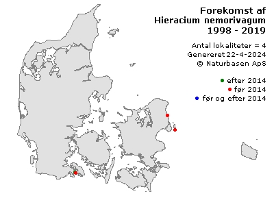 Hieracium nemorivagum - udbredelseskort