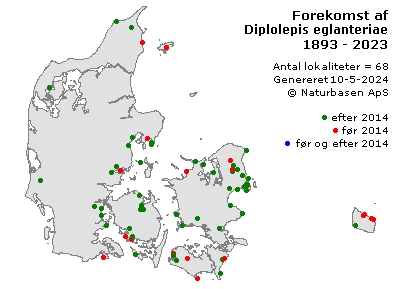 Diplolepis eglanteriae - udbredelseskort