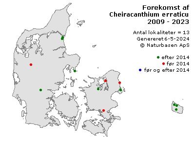 Cheiracanthium erraticum/pennyi - udbredelseskort