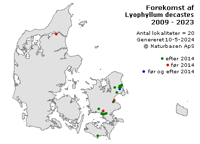 Lyophyllum decastes - udbredelseskort