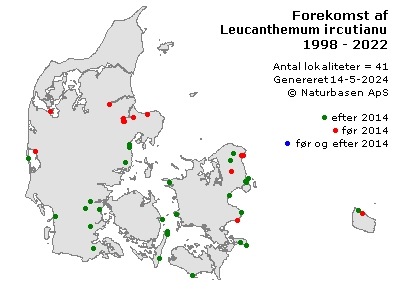 Leucanthemum ircutianum - udbredelseskort